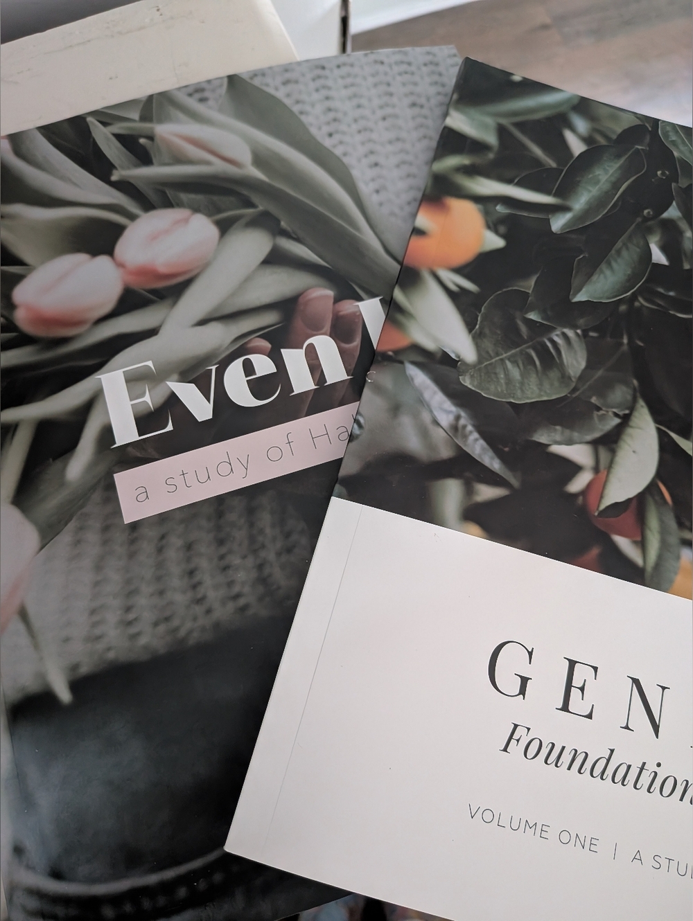 Daily Grace Co Study Books Even If & Genesis Vol 1